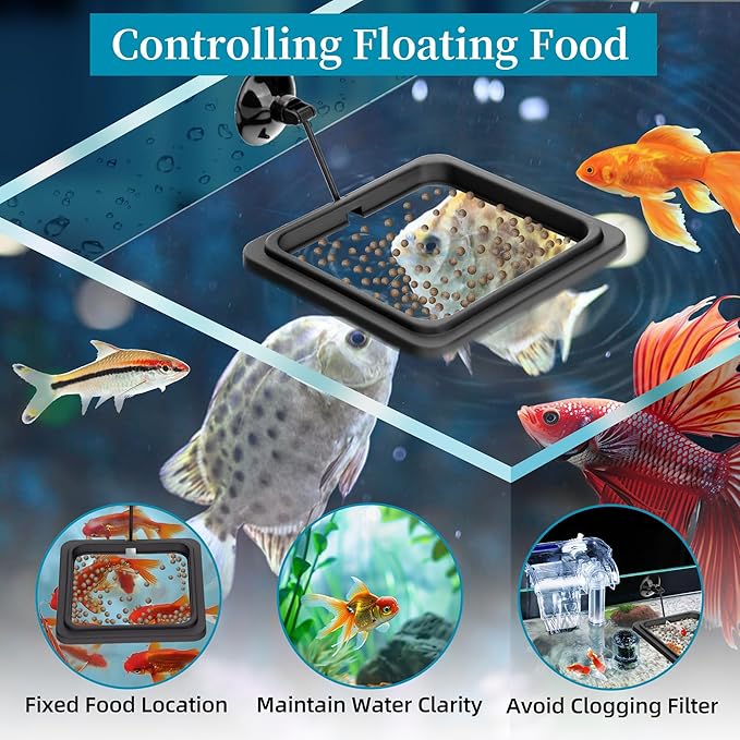 DaToo Fish Feeding Ring Aquarium Square Floating Food Feeder Circle with Strong Suction Cup Fish Tank Feeding Ring for Betta Goldfish Guppy