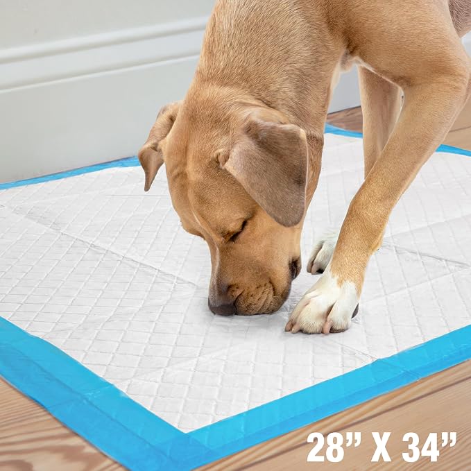 Four Paws Wee-Wee Superior Performance X-Large Dog Pee Pads, 21 Count | Puppy & dog potty training pads, housebreaking supplies, xl puppy pads, pet supplies, 24-hour floor protection, 28" x 34"