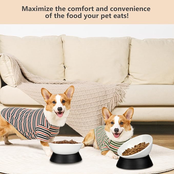 Bulldog Bowl Anti-Slip Dog Cat Dish Detachable Rubber Dog Bowl Pet Sterile Tilted Pet Feeder Slope Base