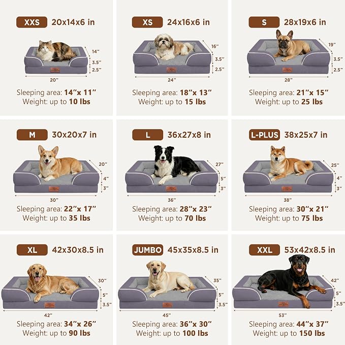 Comfort Expression Waterproof Orthopedic Dog Beds for Large Sized Dog | Supportive Egg Crate Foam Large Pet Bed with Removable Bolsters, Dog Couch with Washable Cover & Non-Slip Bottom, 38x25 Inch