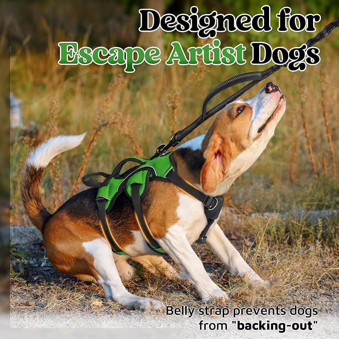 rabbitgoo Escape Proof Dog Harness for Small, No Pull with Lift Handle | No Escape, Full Soft Padded, Reflective Adjustable Vest, Leash Clip for Walking Hiking Training, Green, Small