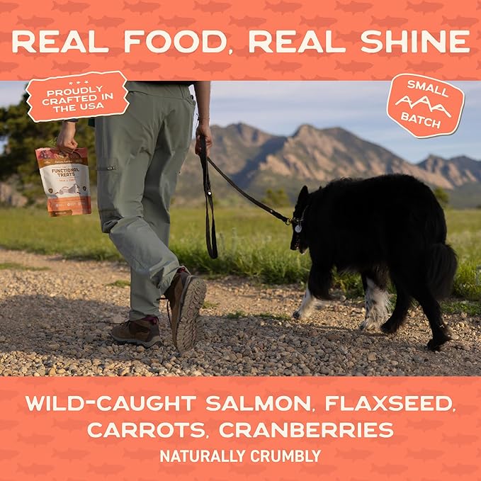 Smart Cookie All Natural Dog Treats - Healthy Skin & Coat Salmon Dog Treats - Ideal for Sensitive Stomachs or Itchy, Allergic, Dry Skin - Dehydrated, Crunchy, Human-Grade, Made in USA - 8oz, Pack of 3