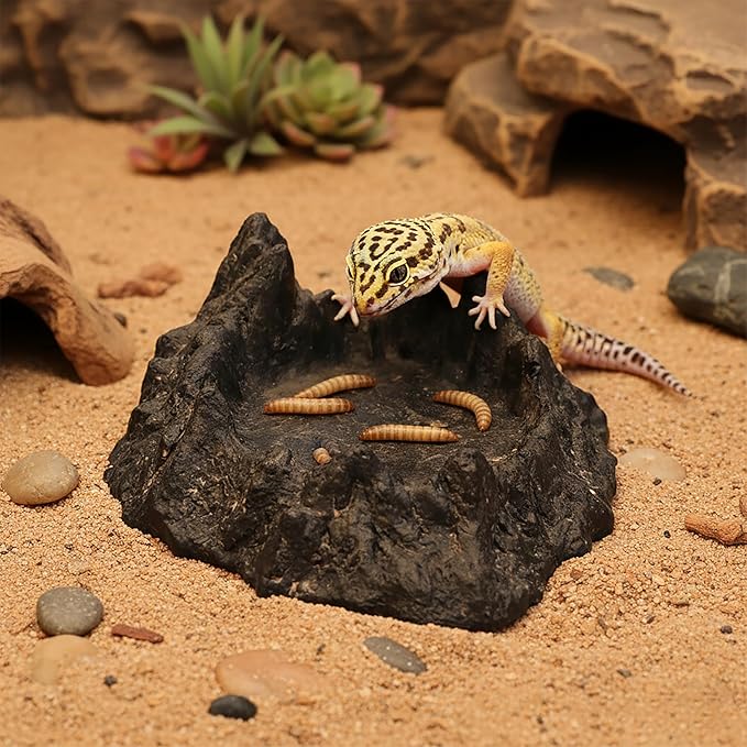 Reptile Water and Food Bowl with Feeding Tweezers Volcanic Rock Style Cement Feeding Dish for Bearded Dragon Leopard Gecko Lizard and Snake Non-Tip Terrarium Decor Landscape Accessory (Black)