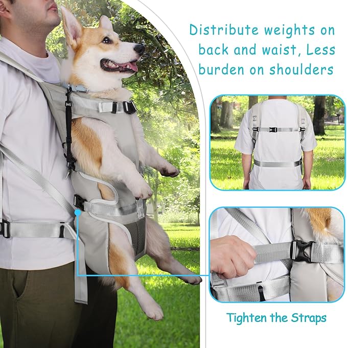 PetBonus Dog Front Carrier Backpacks, Legs Out Easy-fit Puppy Chest Carrier | Hands Free, Adjustable, Safety Strap, Walking Hiking Cycling Motorcycle bag, For Small Medium Dogs (Grey, L)