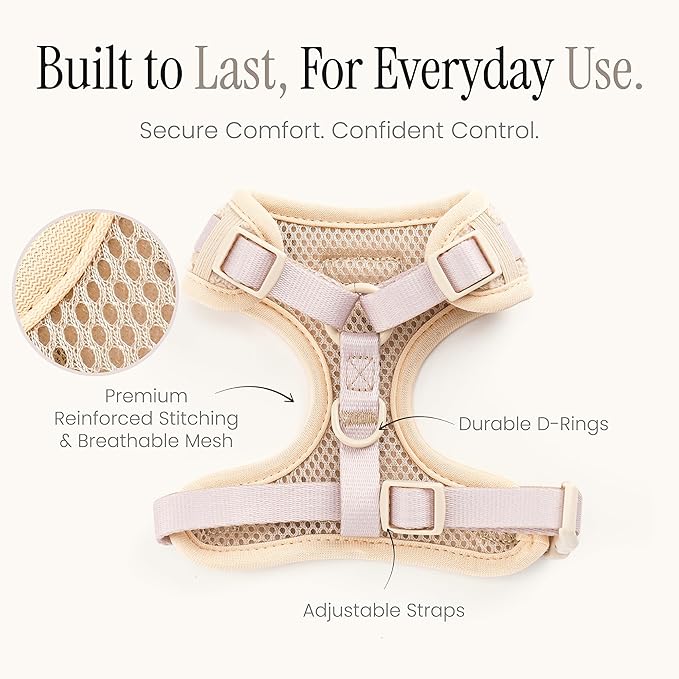 Embroidered Matching Dog Harness and Leash Set with Poop Bag – No Pull, Adjustable, Padded, Breathable Harness for Puppies, Extra Small Dogs, Small Dogs, and Medium Dogs (Small)