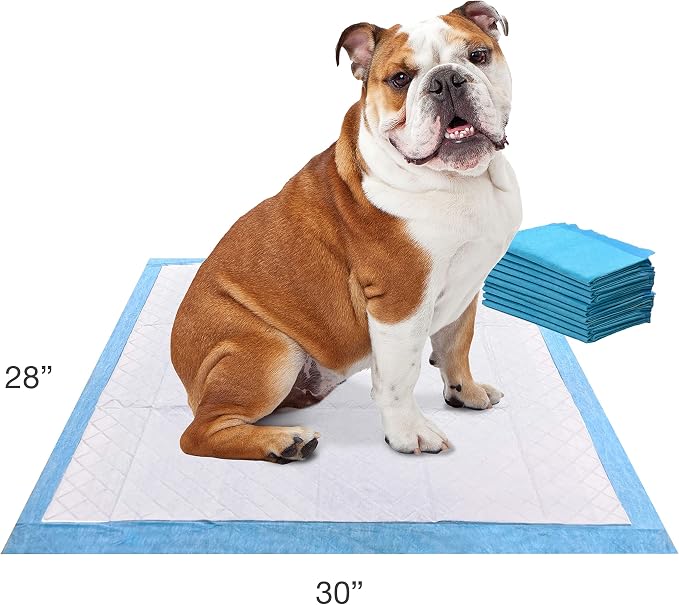 Four Paws Wee-Wee Odor Control Dog Pee Pads with Febreze Freshness | 10 count, spring fresh scent, neutralizes ammonia odors, pee pads for dogs & puppies, dog housebreaking, 22" x 23"