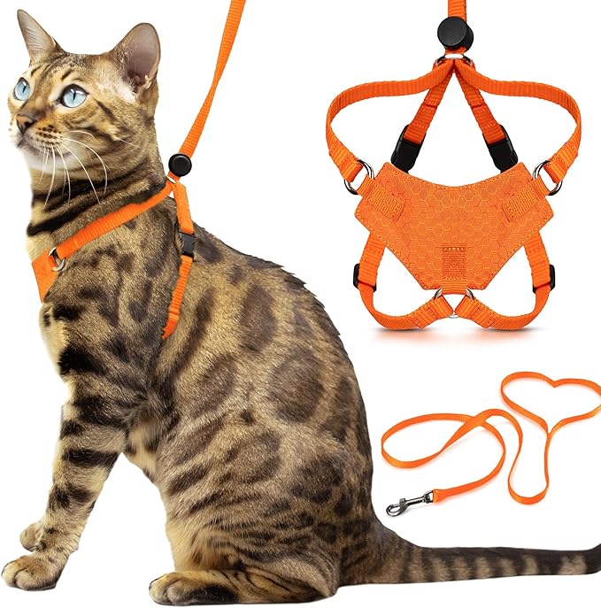 Houdini™ Escape Proof Kitten Harness and Leash (Orange, S) | Adjustable walking vest with 6ft lead, breathable mesh, snug secure fit, light and gentle for first outdoor adventures