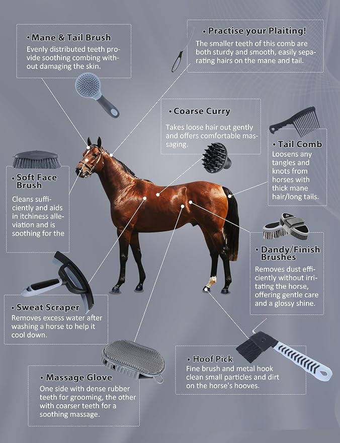 Harrison Howard Complete Horse Grooming Set, 11-Piece Advanced Daily Grooming Tools with Extra Brushes for Full Horse Care Black Brushstroke Ponies