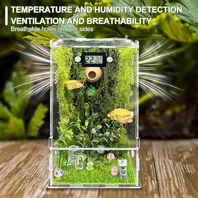 Jumping Spider Enclosure,DIY Insects Habitat,Small Reptile Terrarium Glass House Accessories Set,with Temperature and Humidity Detector Water Feeder Platform Hide,5.5“x5.5”x9.5“ (Forest)
