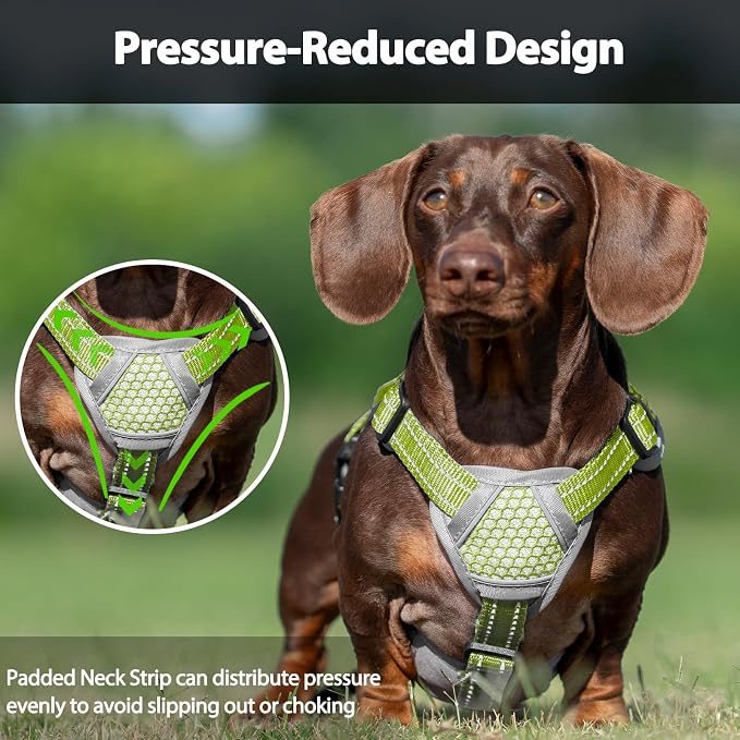 Escape Proof Dog Harness, Dachshund Harness, Reflective Dog Harness with Handle, Durable,Adjustable Vest for Small Medium Large Dogs Walking, Training, and Running Gear (Green,L)