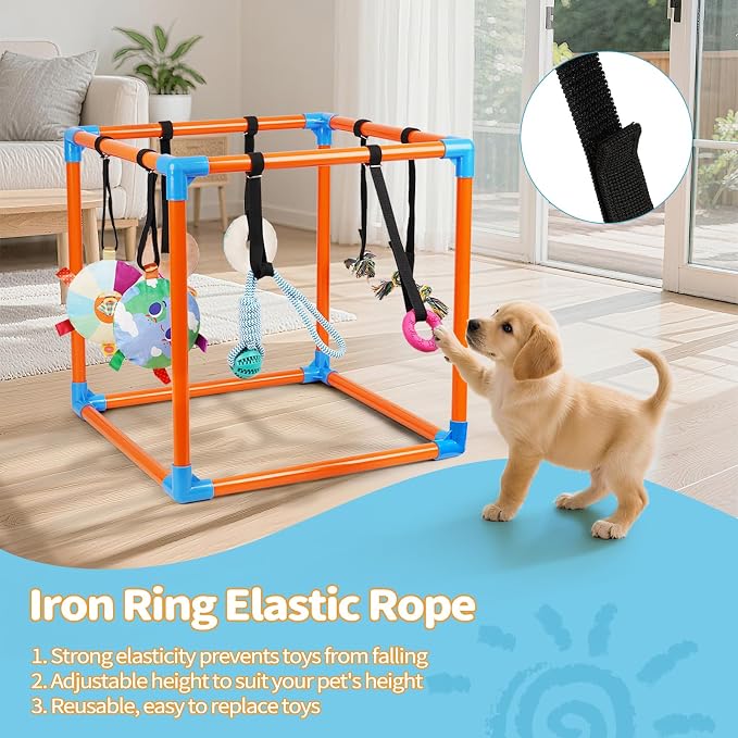 Liitrton Puppy Play Gym for Small Dogs with 8 Hanging Toys, Orange | 19.5"x19.5"x19.5" PVC Frame, Indoor Puppy Jungle Gym with Interactive Puppies Toys