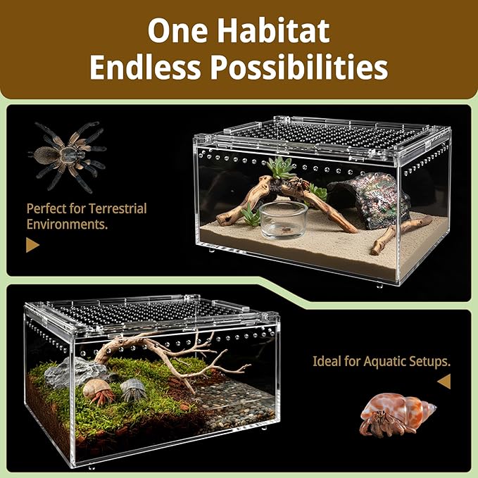 Reptile Terrarium Starter Kit, PC Habitat w/Magnetic Lid & Full Ventilation, Scorpion Habitat, Tarantula Enclosure, Spiders Cage, Insect Terrarium, Mantis & Small Frog Terrarium, 8"x6"x4" Assembled