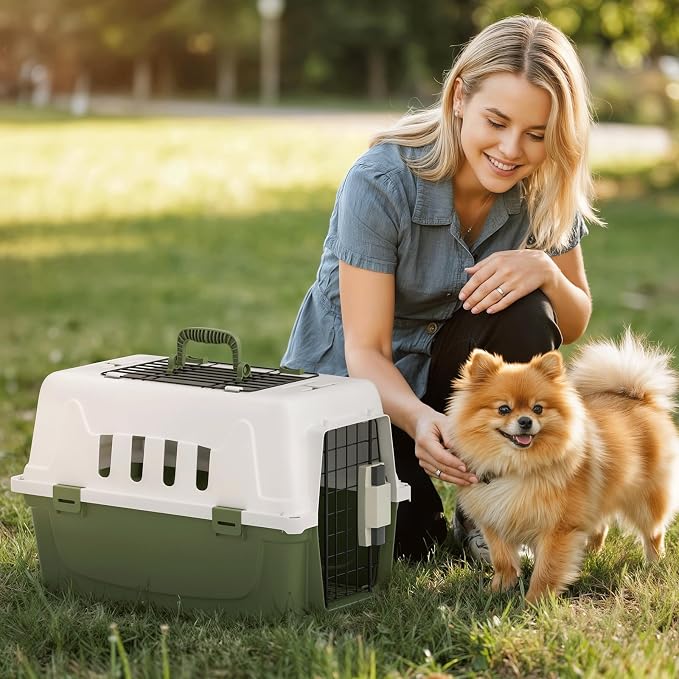 Magshion 18 Inch Hard-Sided Dog Cat Carrier, Green | Top and Front Door Access, Plastic Dog Kennel for Longer Traveling, Durable Handle and 4 Sides Ventilation, For Pet Up 20 lbs