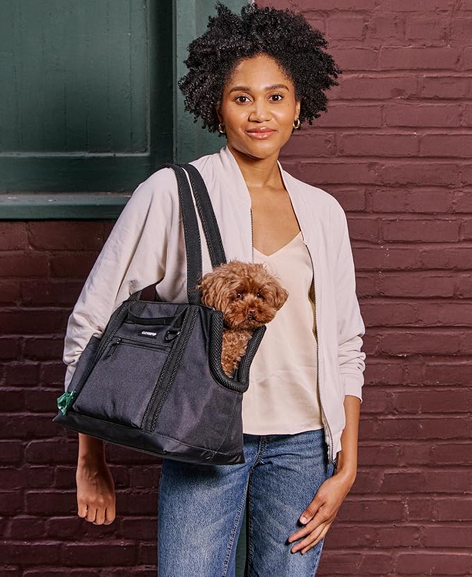 Transit Tote Dog Carrier for Small Dogs Under 8 lbs, 16x11x8 Soft-Sided 4-Pc Set with Waterproof Base, Plush Insert, Food Pouch, Mesh Head Opening - Small Graphite