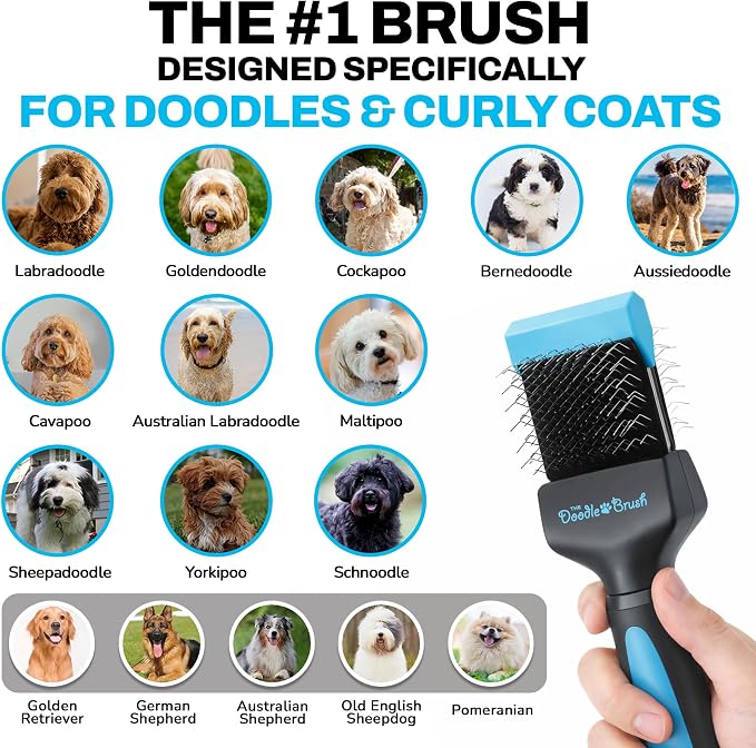 The Doodle Brush Slicker Dog Brushes Curly Coat Detangler, Single Head | Flexible Grooming Brush, Ergonomic Handle, Goldendoodle, Cockapoo, Cavapoo, Dematting Dogs, Removes Mats and Tangles