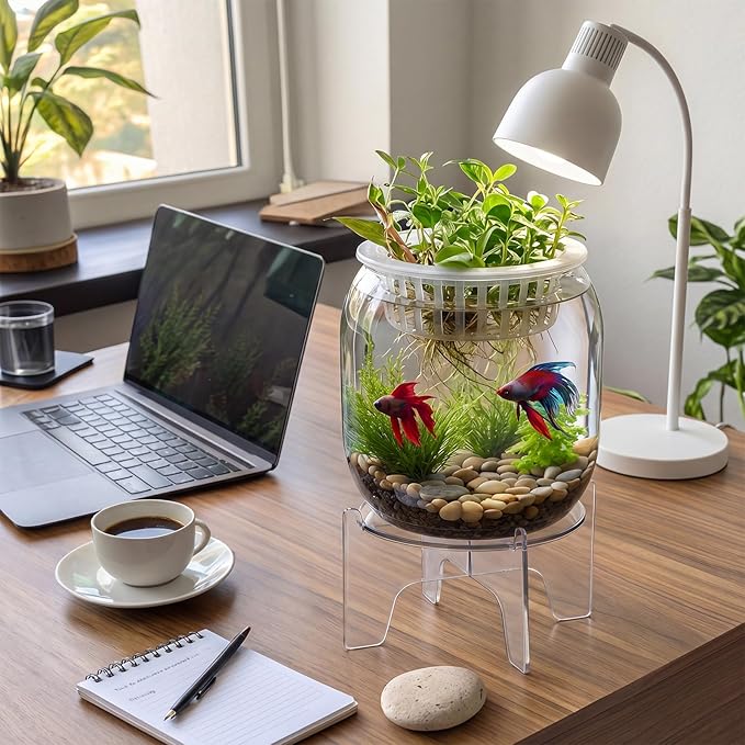Thenshop 1.07 Gallon Plastic Aquaponic Planter and Aquarium Betta Bowl Fish Aquariums Small Fish Tank with Base and Top Promotes Healthy Hydroponic Environment for Plants (Elliptical Cylinder)
