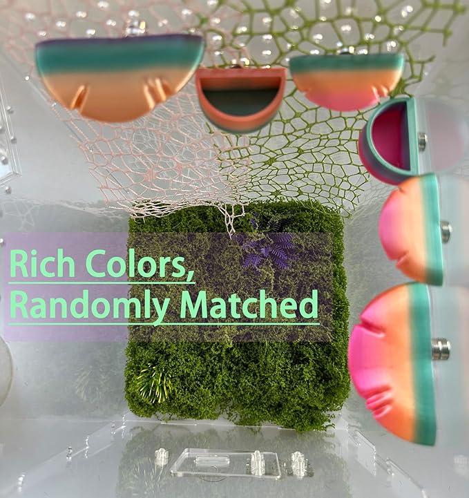 2 Pack Jumping Spider Accessories Mushroom Ledges & 1 Pack Water Bowl with Magnets for Spoods Jumping Spiders Magnetic Ledge Ladder Pet Spider Accessories (Not Included The Terrarium)