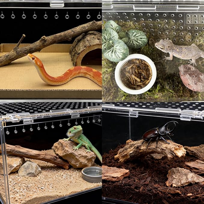 Reptile Terrarium Gecko Tank Tarantula Enclosure Acrylic Spider Terrarium Hermit Crab Tank for Scorpion Insect Isopods Invertebrates Insect (Small)