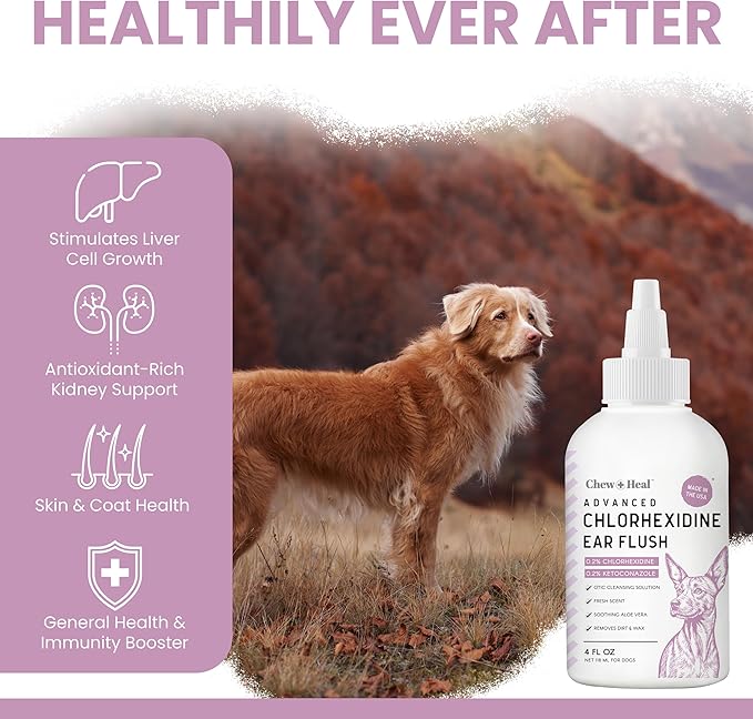 Chew + Heal Labs Dog Ear Cleaner - Medicated Dog Ear Buildup Drops for Dirt and Wax - 4 oz Advanced Flush with Chlorohexidine and Ketoconazole - Made in the USA