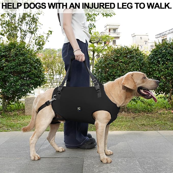 Coodeo Dog Lift Harness, Pet Support & Rehabilitation Sling Lift Adjustable Padded Breathable Straps for Old, Disabled, Joint Injuries, Arthritis, Loss of Stability Dogs Walk (Black, XL)
