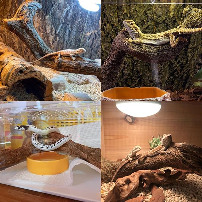 BNOSDM Reptile Forest Climbing Branch Decor 8PCS Crested Gecko Climb Wood Natural Branches Tree for Snake Frog Chameleon Spider Bearded Dragon Terrarium Habitat Tank Accessories