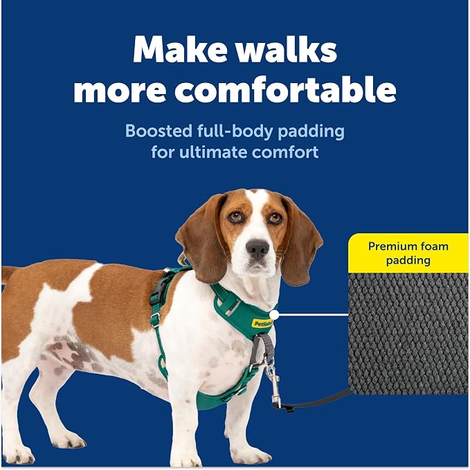 PetSafe Easy Walk Comfort No Pull Dog Harness, Green, Small | Stops Pulling on First Use with Front Martingale Loop, Full-Body Padding, 5-Point Adjustable Fit