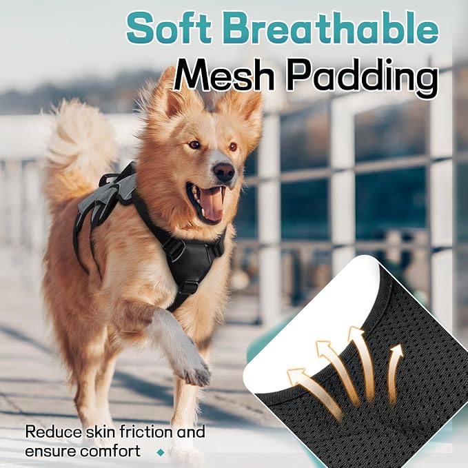 rabbitgoo Escape Proof Dog Harness for Large, No Pull with Lift Handle | No Escape, Full Soft Padded, Reflective Adjustable Vest, Leash Clip for Walking Hiking Training, Grey, Large