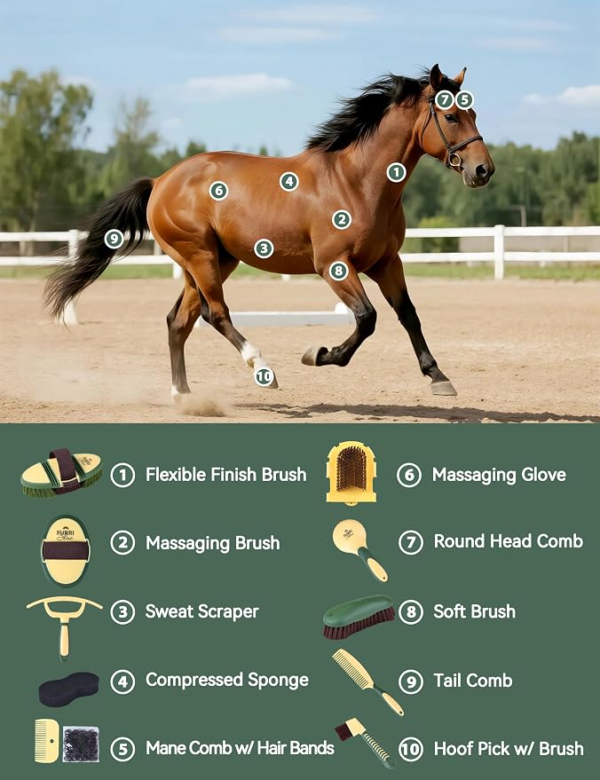 11-Piece Horse Grooming Kit with Waterproof Tote Pasture Glow | 10 coordinated horse grooming tools with comfort-grip designs and a spacious waterproof tote for complete horse grooming