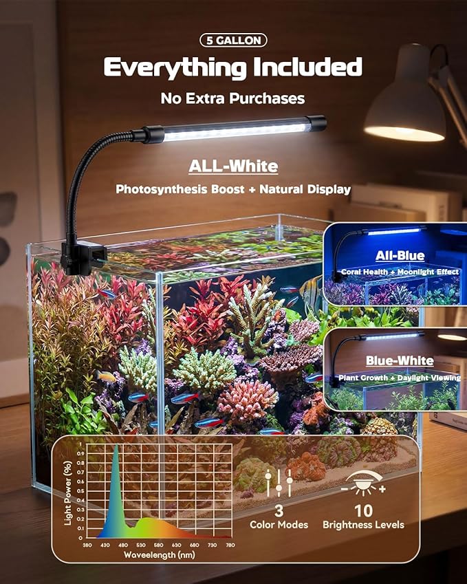 Glass Fish Tank Kit, 5 Gallon Betta Fish Tank Aquarium Starter Kit with Filter, Lights, Lid, for Betta, Goldfish, Small Fish or shrimg，Clear