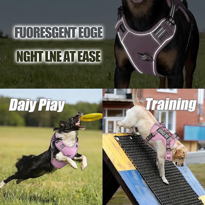Service Dog Tactical Vest Harness and Leash Set Small Sized Dog Emotional Support- Tactical Dog Harness Training Collar with Name (Pink, S) ﻿