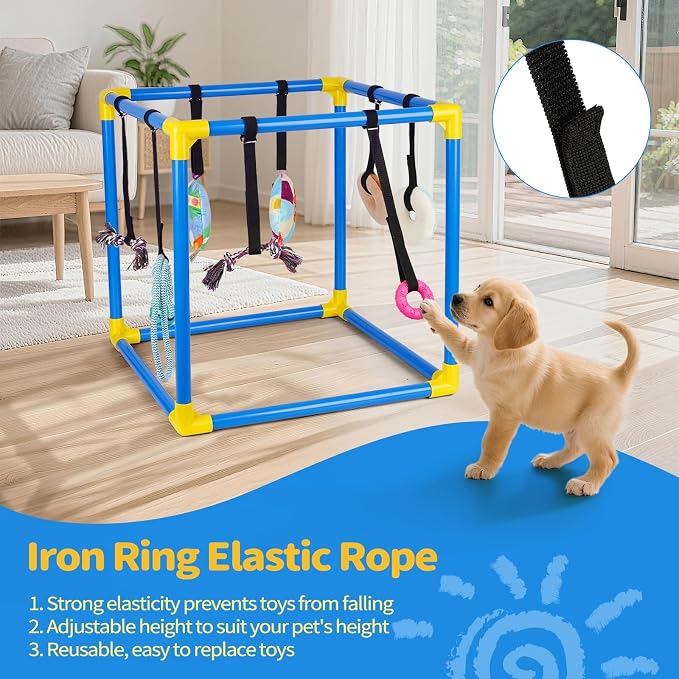 Liitrton Puppy Play Gym for Small Dogs with 8 Hanging Toys, Blue | 19.5"x19.5"x19.5" PVC Frame, Indoor Puppy Jungle Gym with Interactive Puppies Toys