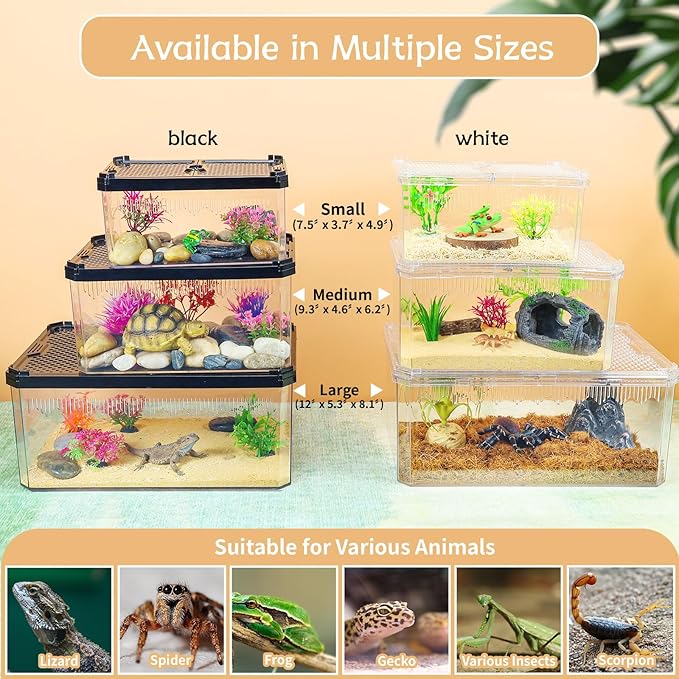 High-Transparency Reptile & Insect Enclosure Terrarium with Magnetic Door, Excellent Ventilation, Easy Cleaning, and Strong, Long-Lasting Build for Frog,Insect House Gecko, Hermit Crab White, 12Inch