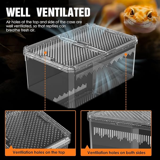 【No Assembly】 Breathable and Secure Reptile Tank with high Transparency - Ideal Container House for Hermit Crab, Tarantula Enclosure, Turtle Tank or Jumping Spider Habitat (M)
