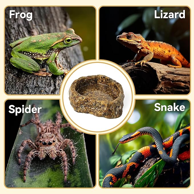 Water Dish for Amphibians，Reptile Food and Water Rock Bowls，Terrarium Decor for Reptiles and Other Little Critters，Terrarium Bowls Small Size