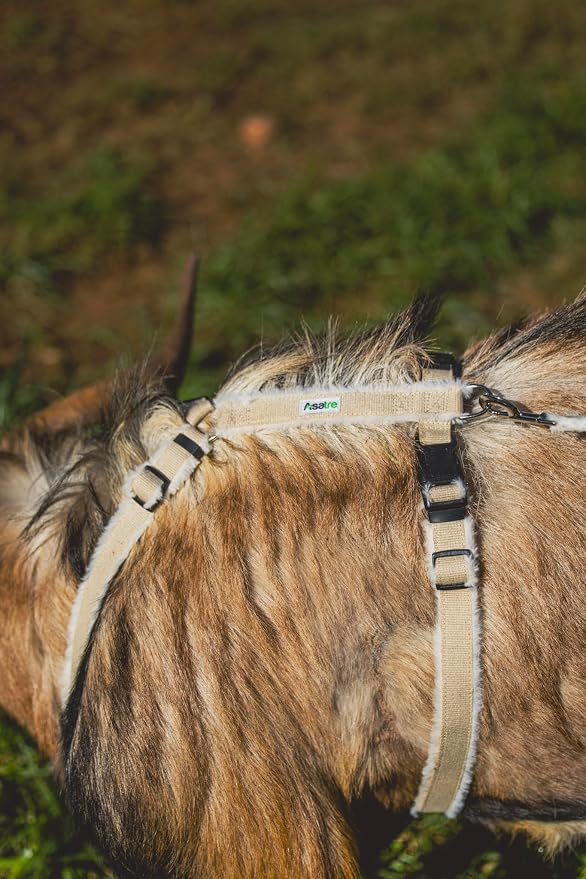 Goat Harness, Asatre Sheep Livestock Hemp Goat Halter, Small to X-Large, Fleece Lined, Multi-Clasp, Machine Washable Soft Durable Restraint (X-Large)
