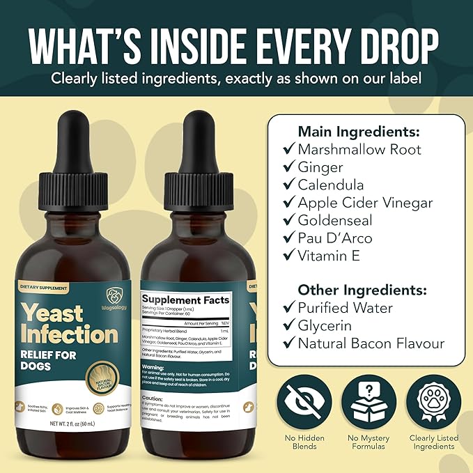 Yeast Infection Treatment for Dogs Drops (7 in 1 Formula) Soothes Itchy & Irritated Skin, Improves Skin and Coat, Dog Yeast Infection Treatment & Anti Yeast Drops for Dogs
