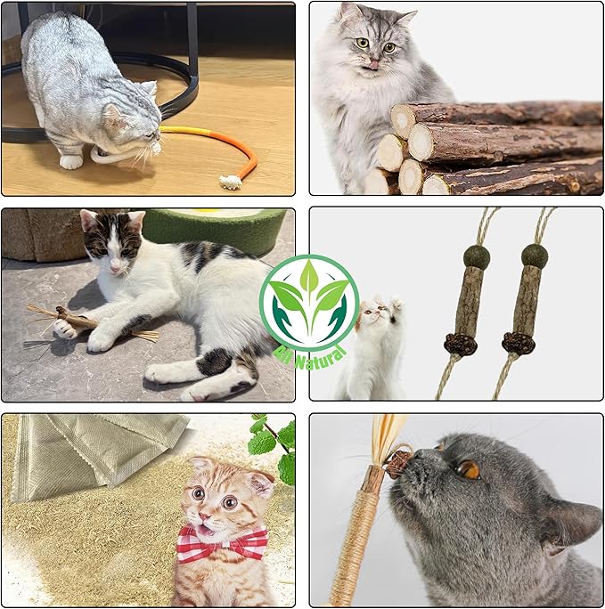 Cat Chew Toys Cat Toys, Silvervine Sticks for Cats Teeth Cleaning Rope, Kitten Teething Dental Care, Kitty for Indoor Cats Increase Appetite, Enhances Oral & Dental Health (20 Pack)