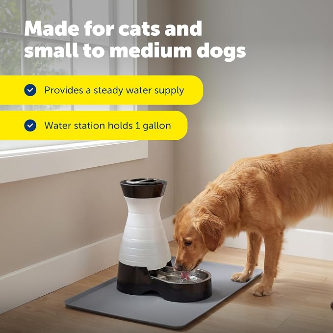 PetSafe Healthy Pet Food & Water Station, Medium, 2-Pack Filters | Gravity Food & Water Station, 4 lb food, 128 oz Water, Dishwasher-Safe Stainless Bowl, Extra Filters