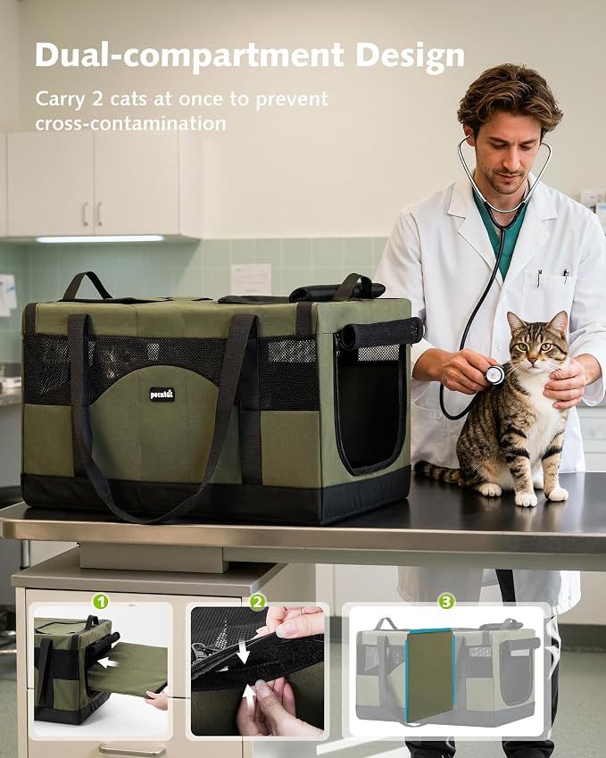 Pecute Cat Carrier, Soft Double Pet Crate for 2 Cats Travel, Green | 5mm Anti-collapse Frame, Convertible Dual Space, Foldable, Polyester Breathable mesh, Up to 26 lbs, Car Travel & Vet Visits