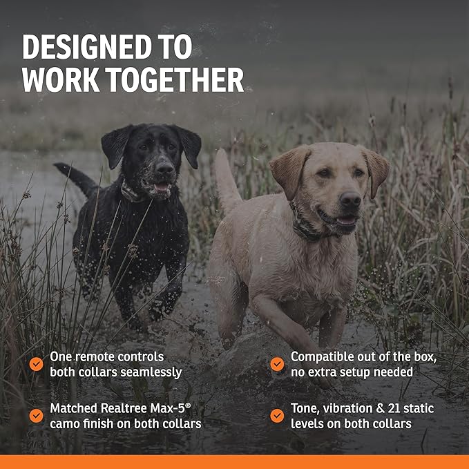 SportDOG Brand WetlandHunter 425X Camouflage Dog Static Collar with Remote and Add-A-Dog Collar - 500 Yard Range Remote Trainer - Rechargeable Dog Training Collar with Static, Vibrate, and Tone