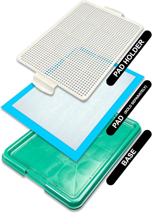 Dog Pee Pad Holder Tray, Puppy Potty Training, 22.5"x16.5", PP Plastic, Snap Lock, 4 Colors (Green)