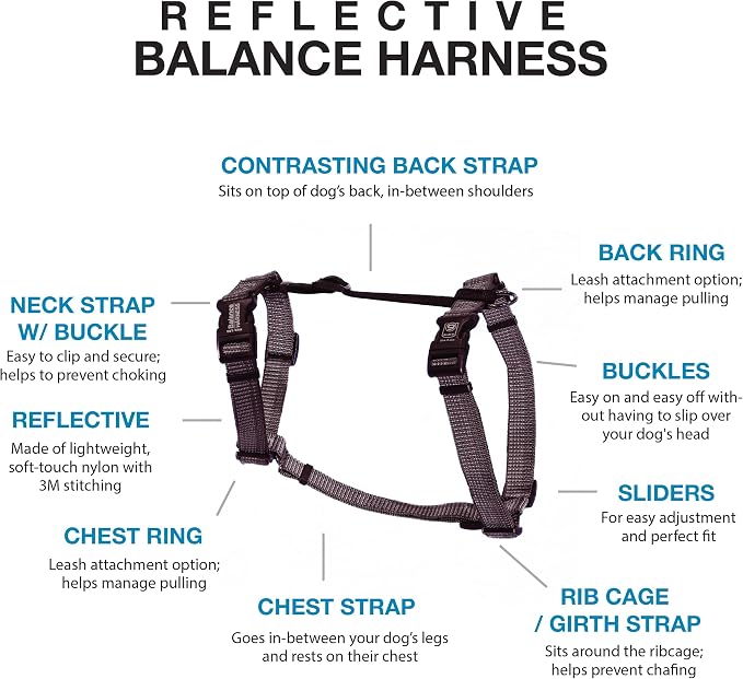 Blue-9 Reflective Buckle-Neck Balance Harness, Fully Customizable Fit No-Pull Harness with 3M Reflective Stitching, Ideal for Dog Training and Obedience, Made in The USA, Grey, Medium/Large