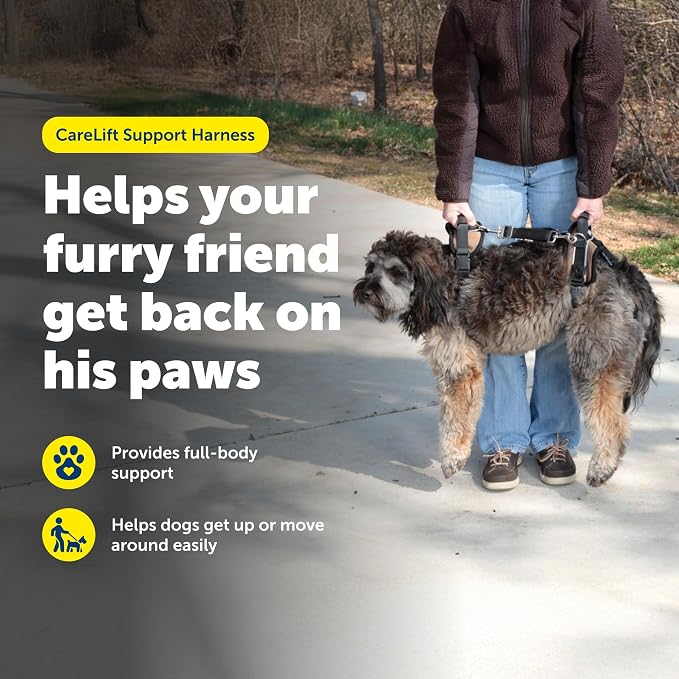 PetSafe CareLift Dog Lift Harness, Full Body, Medium | Lift Sling for Dogs, Full-Body Support for Elderly, Arthritic or Recovering Dogs, Padded Shoulder Strap, Machine Washable