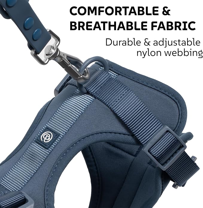 Dog Harness, Collar & Leash Set, Adjustable No Pull Harness with 3 Leash Clips, Waterproof Matching Collar & Leash, Breathable Comfort (Blue, Small)
