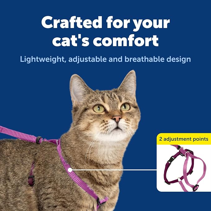 PetSafe Come with Me Kitty Harness and Bungee Cat Leash, Dusty Rose, Small | Adjustable 2-Point Fit Applies Gentle Pressure to Shoulders, Not Neck, for Kittens and Small Cats with 9 in - 11 in Girth