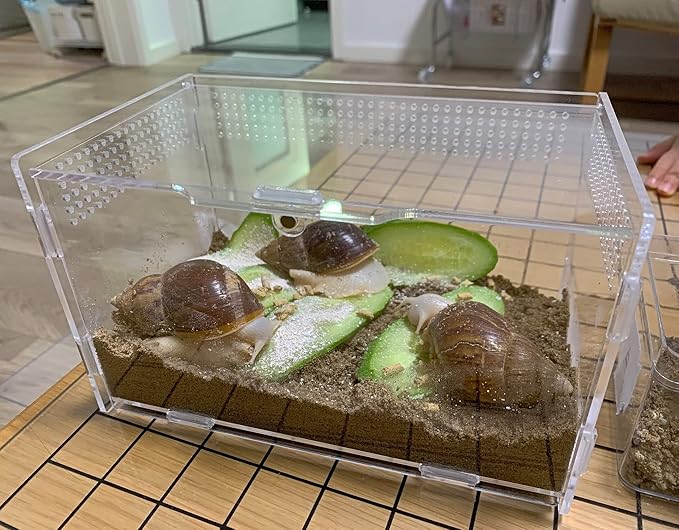 AWXZOM Magnetic Acrylic Case, micro habitat small Tarantula Enclosure enclosure for arboreal Tarantula Scorpion Sling Lizards Mantis Snake Gecko jumping spider snail Insect Isopods (7.8*4.7*4.7inch)