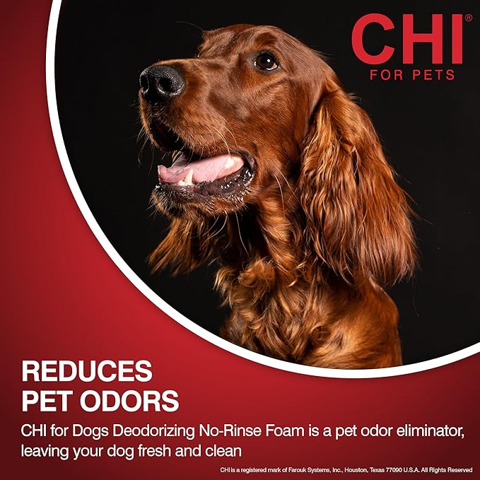 CHI for Dogs Deodorizing Waterless Foam Wash, No-Rinse Dry Shampoo for Dogs to Help Control Odor, Sulfate and Paraben Free, Waterless Pet Grooming, Pump Bottle, Made in The USA, 8 Fl Oz