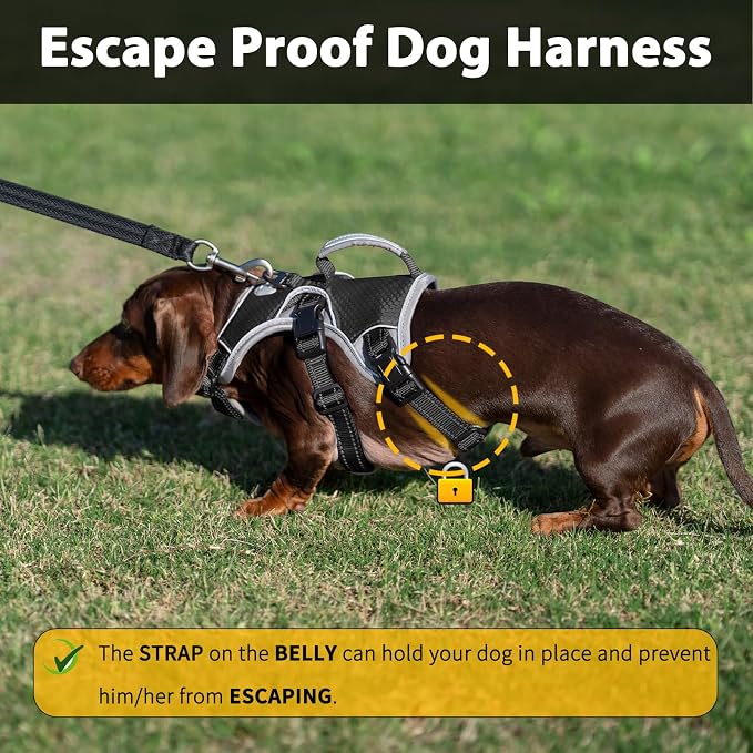 Escape Proof Dog Harness, Dachshund Harness, Reflective Dog Harness with Handle, Durable,Adjustable Vest for Small Medium Large Dogs Walking, Training, and Running Gear (Black,M)