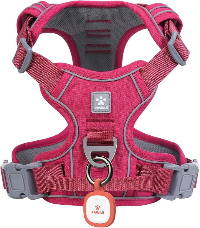 Pawaii Small Dog Harness - No Choke, Adjustable Soft Padded Pet Vest with ID Tag & Control Handle