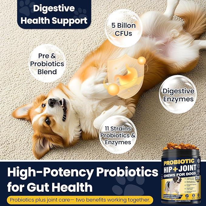 Hip and Joint Supplement for Dogs Dog Probiotics Glucosamine Chondroitin MSM Chew for Dog Arthritis Pain Relief Extend Joint Care, Probiotic for Digestive/Gut Health for Large/Small/Senior Breed Dogs